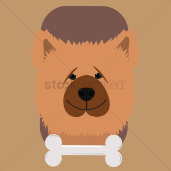 Chow chow dog with bone