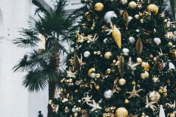 Christmas And Palm Trees Christmas And Palm Trees