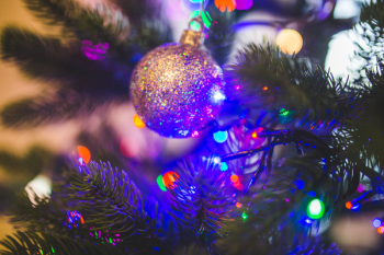 Christmas Ball on Green Christmas Tree Christmas Ball on Green Christmas Tree