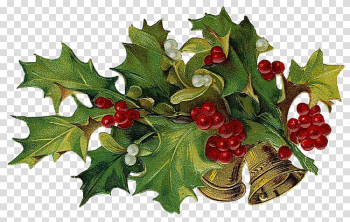 Christmas , christmas transparent background PNG clipart Christmas , christmas transparent background PNG clipart