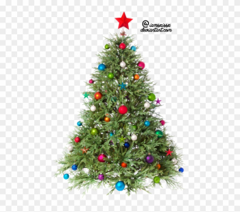 Christmas - Christmas Tree Png Transparent