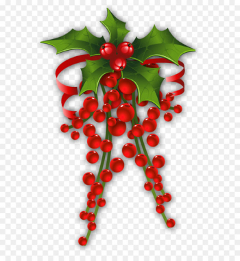 Christmas decoration Mistletoe Clip art - Mistletoe Decor Christmas decoration Mistletoe Clip art - Mistletoe Decor