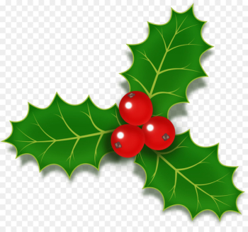 Christmas Designs, Common Holly, Christmas Day, Holly, Leaf PNG