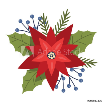 Christmas Flower or poinsettia Christmas Flower or poinsettia