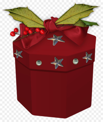 Christmas gift Christmas Day Birthday New Year - gift Christmas gift Christmas Day Birthday New Year - gift