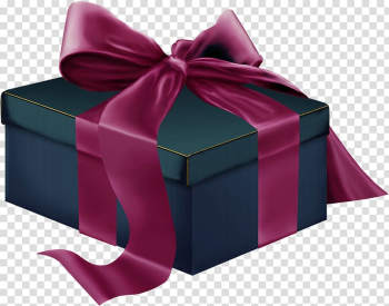 Christmas gift Christmas gift , gift transparent background PNG clipart Christmas gift Christmas gift , gift transparent background PNG clipart