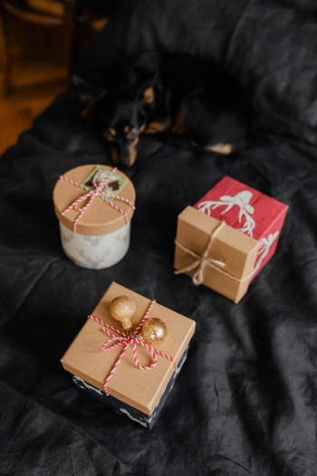Christmas gifts for a cute little dog Christmas gifts for a cute little dog