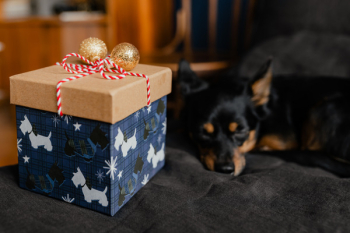 Christmas gifts for a cute little dog Christmas gifts for a cute little dog