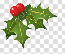 Christmas, green leaf Christmas transparent background PNG clipart Christmas, green leaf Christmas transparent background PNG clipart