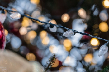 Christmas Lights Christmas Lights