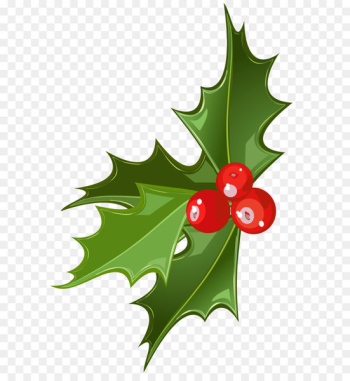 Christmas Mistletoe Common holly Clip art - Christmas Mistletoe Picture 