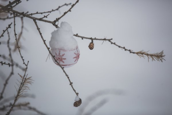 Christmas Ornament In Snow Christmas Ornament In Snow