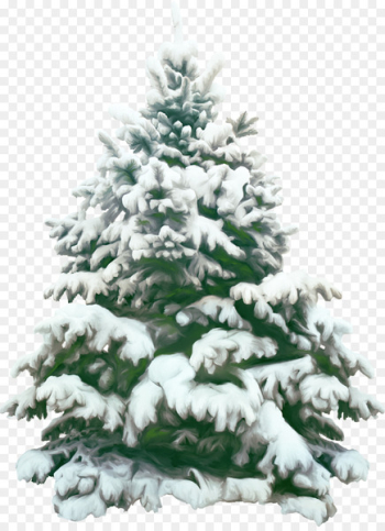 Christmas Picture Frames - fir-trees Christmas Picture Frames - fir-trees