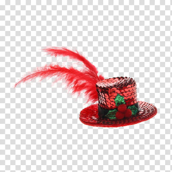 Christmas, red hat with feather accent transparent background PNG clipart Christmas, red hat with feather accent transparent background PNG clipart