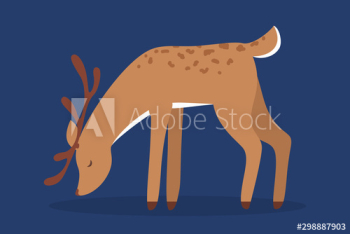 Christmas reindeer Christmas reindeer