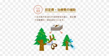 資料：国土交通省「都市緑化データベース」 - Christmas Tree