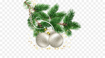 Christmas tree Branch Christmas Day Pine - christmas tree 