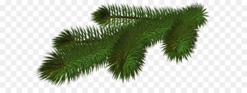 Christmas tree Branch Clip art - Transparent Pine Branch 3D PNG Picture 