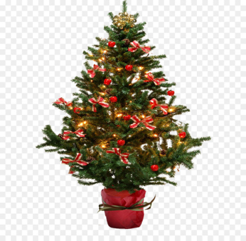 Christmas tree Christmas card - Christmas fir-tree PNG image Christmas tree Christmas card - Christmas fir-tree PNG image