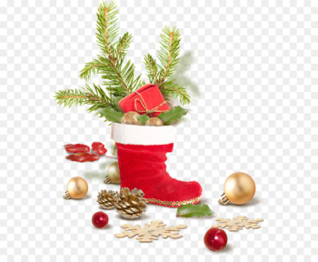 Christmas tree Christmas card Easter Star of Bethlehem - christmas 