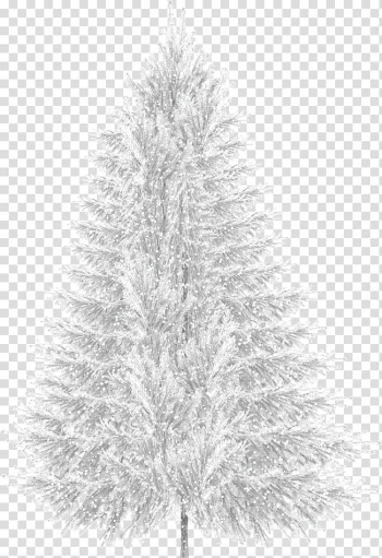 Christmas tree Christmas tree Snow, Creative winter snow transparent background PNG clipart