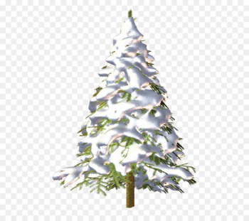 Christmas tree Conifers Spruce Fir - christmas tree Christmas tree Conifers Spruce Fir - christmas tree