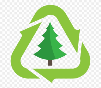 Christmas Tree Disposal - Christmas Tree Recycling Christmas Tree Disposal - Christmas Tree Recycling