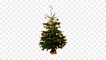 Christmas Tree Donation - Christmas Tree Christmas Tree Donation - Christmas Tree