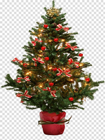 Christmas tree Fir, Christmas Fir-Tree transparent background PNG clipart Christmas tree Fir, Christmas Fir-Tree transparent background PNG clipart