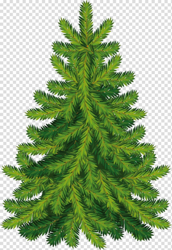 Christmas tree Fir, Fir-tree transparent background PNG clipart Christmas tree Fir, Fir-tree transparent background PNG clipart