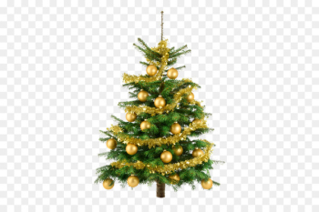 Christmas tree Gift Fir - christmas tree Christmas tree Gift Fir - christmas tree