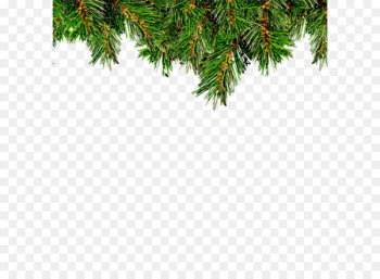 Christmas tree Leaf Christmas ornament - Christmas tree Christmas tree Leaf Christmas ornament - Christmas tree
