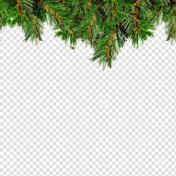 Christmas tree Leaf Christmas ornament, Christmas tree transparent background PNG clipart