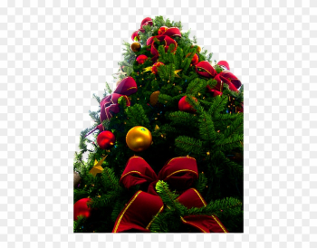 Christmas Tree Png - Christmas Tree Png Transparent