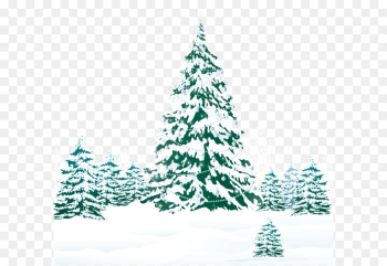 Christmas Tree Snow Christmas Tree Snow