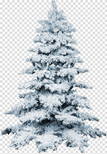 Christmas tree Snow , Christmas tree transparent background PNG clipart Christmas tree Snow , Christmas tree transparent background PNG clipart