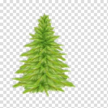 Christmas tree Spruce Fir, tree transparent background PNG clipart Christmas tree Spruce Fir, tree transparent background PNG clipart