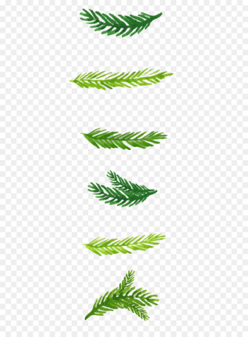 Christmas Watercolor painting - Watercolor Christmas decoration plants 