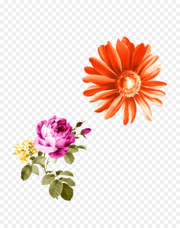 Chrysanthemum Flower Clip art Red Image - chrysanthemum Chrysanthemum Flower Clip art Red Image - chrysanthemum