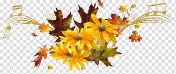 Chrysanthemum Yellow Painter, autumn transparent background PNG clipart