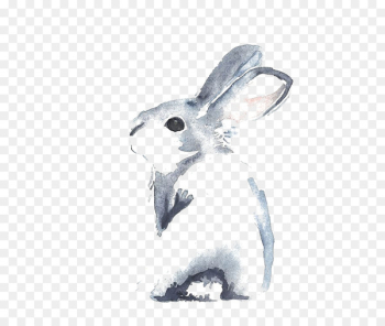Cinnamon rabbit Watercolour Flowers Drawing Watercolor painting - Drawing Little Rabbit 