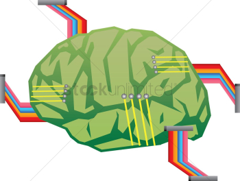 Circuit board brain Circuit board brain