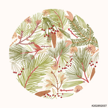 Circular design element, decoration or backdrop composed of elegant branches of coniferous tree, fir or pine needles and cones on white background