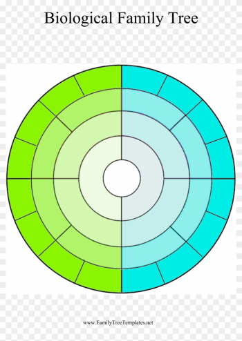 Circular Family Tree Main Image - Circle Family Tree Template