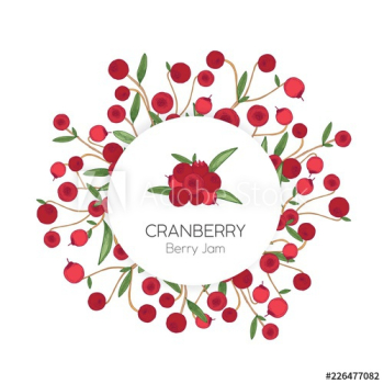 Circular label or tag template with cranberries hand drawn on white background