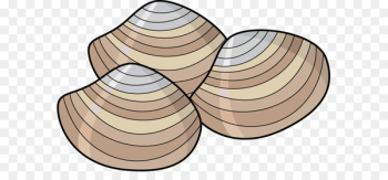 Clam Mussel Oyster Clip art - Clams Cliparts Clam Mussel Oyster Clip art - Clams Cliparts