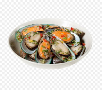 Clam Mussel Sashimi Seafood Perna viridis - Shell Features Clam Mussel Sashimi Seafood Perna viridis - Shell Features