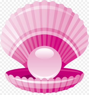 Clam Pearl Seashell - Pink fresh pearl shell Clam Pearl Seashell - Pink fresh pearl shell