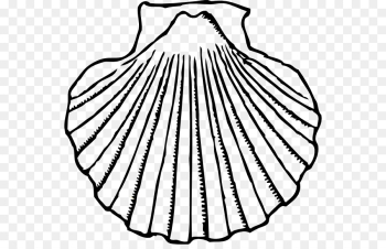 Clam Seashell Oyster Clip art - Clams Cliparts png download - 600 ...