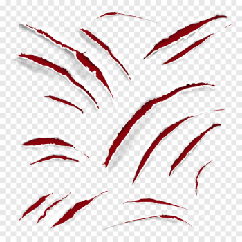 Claw scratches illustration of realistic red wild animal scratching with torn white texture